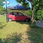 Spiros レプトカリヤ