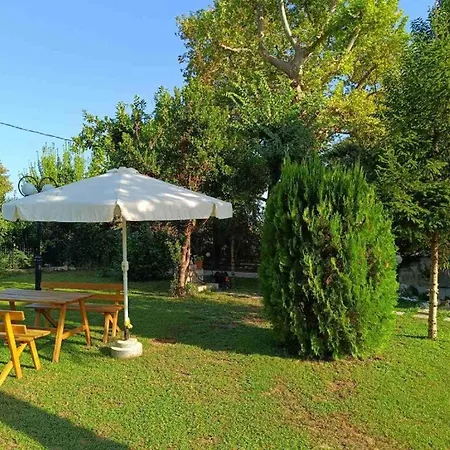 Spiros Leptokarya (Pieria)